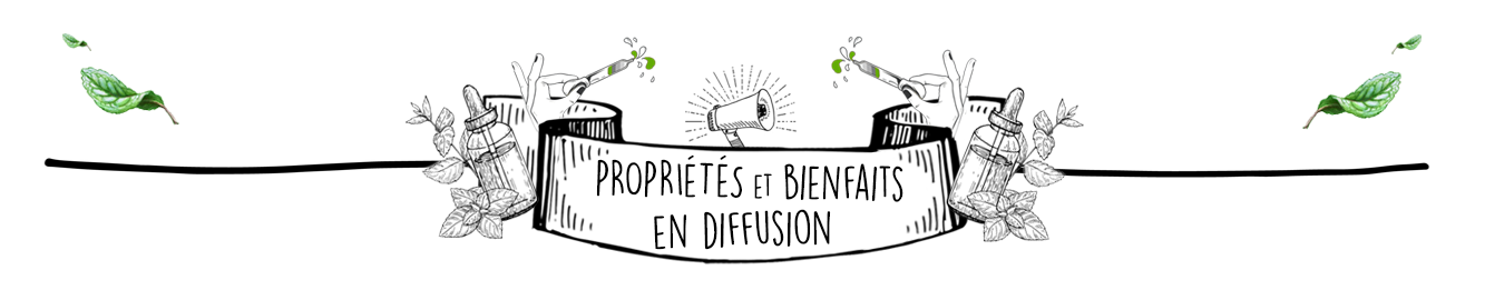 Huile Essentielle de Niaouli en Diffusion : Le Guide Complet par Olyaris